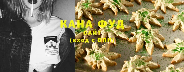 ECSTASY Алзамай