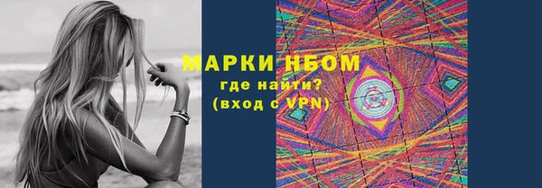 ECSTASY Алзамай